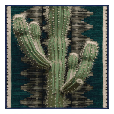  Washable Silver Cholla Southwestern Area Rug