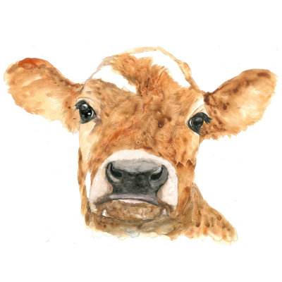 " The Cow 1 "