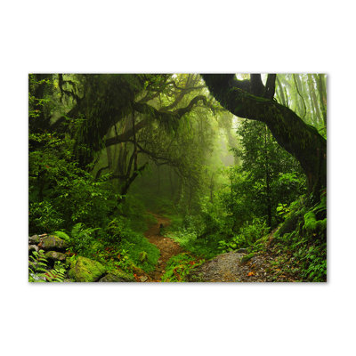 Jungle In Nepal - Wrapped Canvas Print