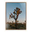 Camp Print by Wesley And Emma Teague-2005964813-2005964810-2005964805