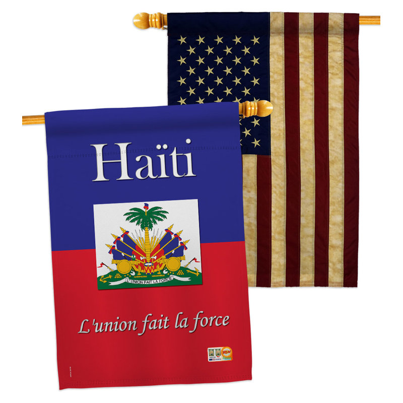 Double Sided 40'' H x 28'' W Polyester House Flag