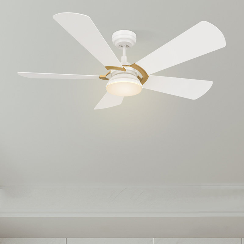 Amonnie 52'' Ceiling Fan with LED Lights, White