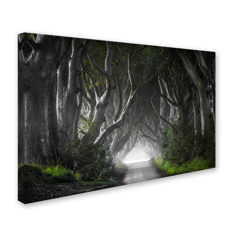 Art mural sur toile tendue - Nicola Molteni «Dark Hedges», art mural pour salon, chambre à coucher ou bureau - 22 x 32