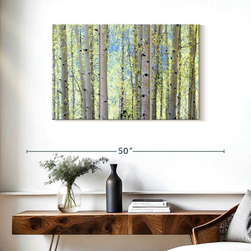 Harnek Aspens, H 24 po x l 38 po