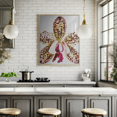 "Coral Orchid" Framed Textured Wall Art