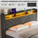 Karo Upholstered Metal Wingback Storage Bed
