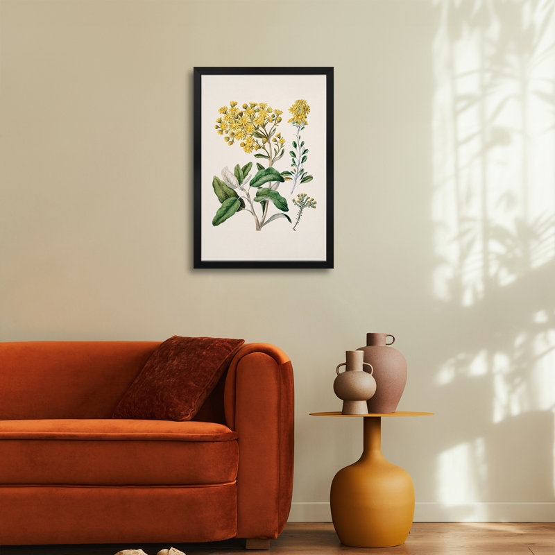 Daisy Brachyglottis - reproduction d'art murale - affiche de galerie, H 32 po x l 24 po