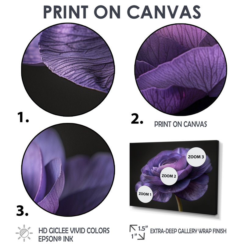 Reproduction d'art mural noir et mauve Nature Nuance I - Renoncule, Cadre flottant doré, H 28 po x l 60 po