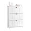 9 Pair Shoe Cabinet