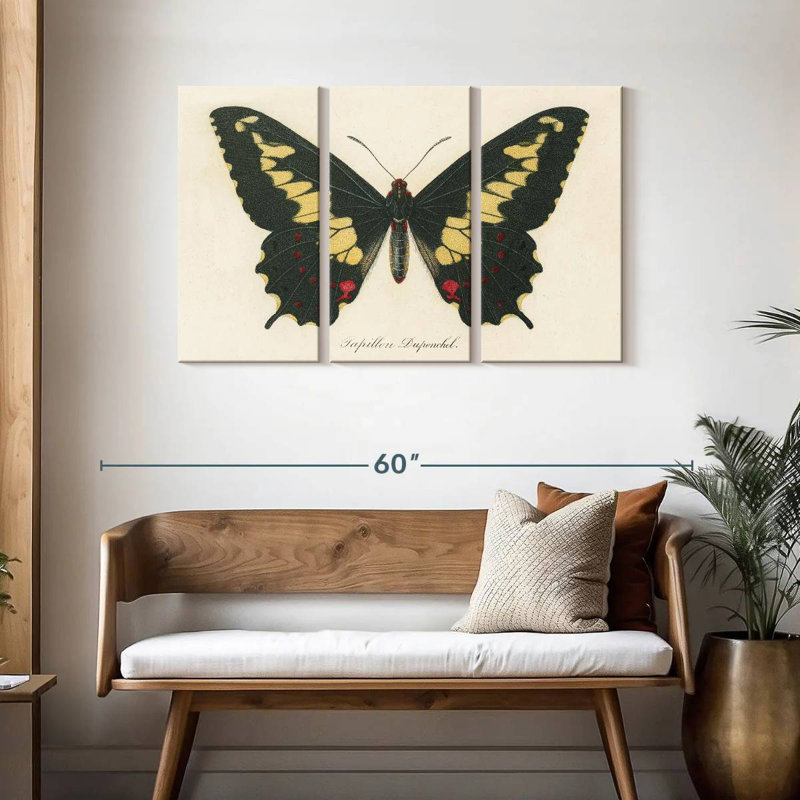 Brampt Natures Butterfly VI, H 28 po x l 45 po