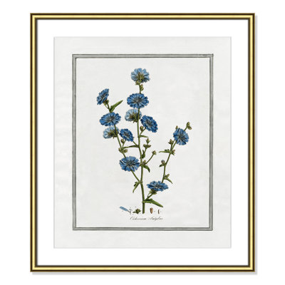 Colombe "Soft Botanical I" Print