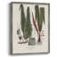 «Botanical Society Ferns IV», reproduction encadrée - bois massif-30496815