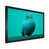 Black Single Picture Framed selected