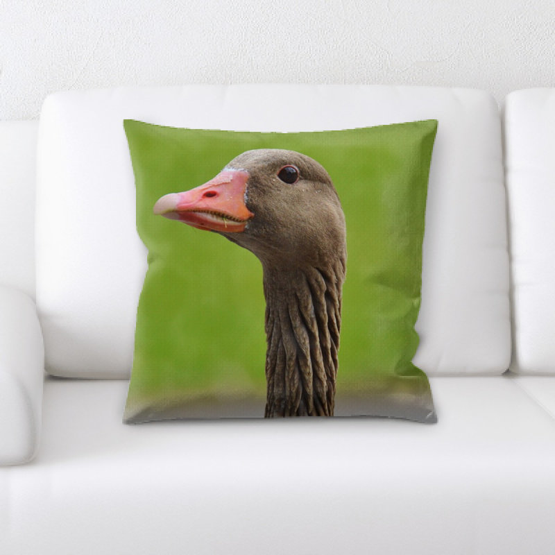 Coussin d’oie