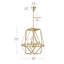 Zico 4-E26 Pendant Luminaire