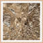A Forest In Echo 1 Print-409418898