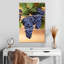 Raisins sur la vigne-117533146