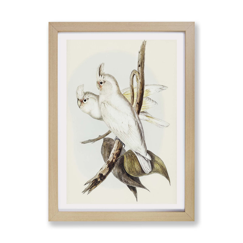Blood-Stained Cockatoos - Framed Print, 24cm H x 33cm W x 2cm D, Oak