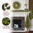 4 Piece Evergreen Assortment with Decorative Base and Clear LED Lights