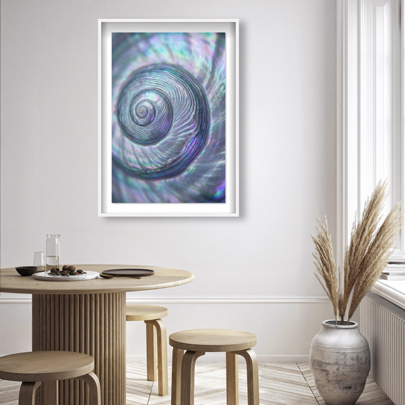 Sea Spiral Print by Oliver Gal, 25.5"H x 17.5"W, White Shadowbox