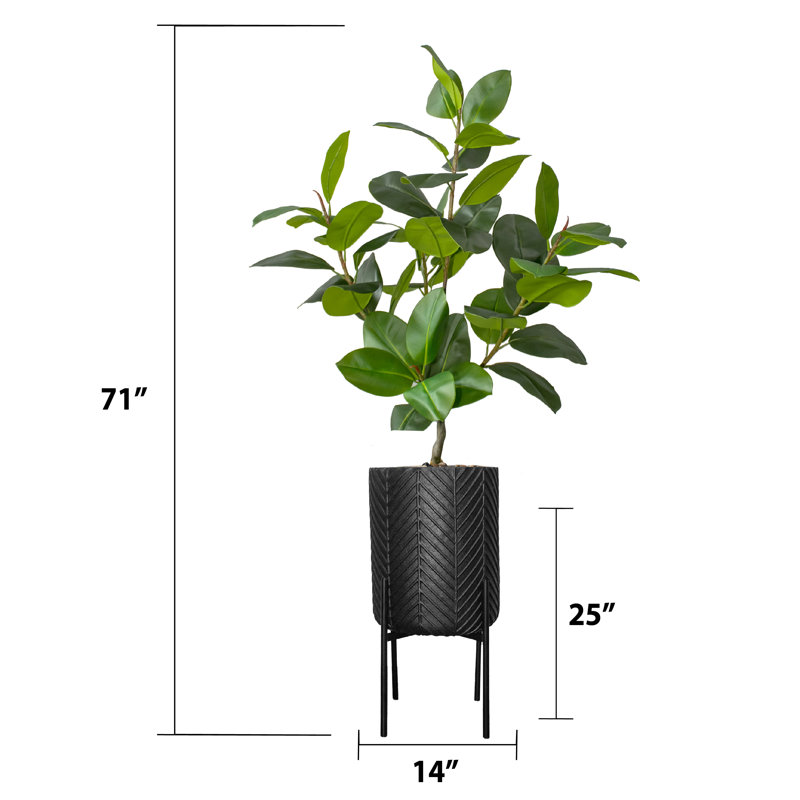 Horner 69.5'' Faux Rubber Tree in Planter