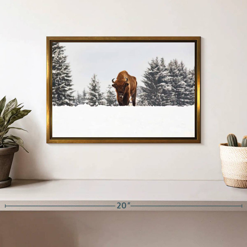 Bison aux champs d'hiver, 13 po x 9 po, Cadre flottant doré