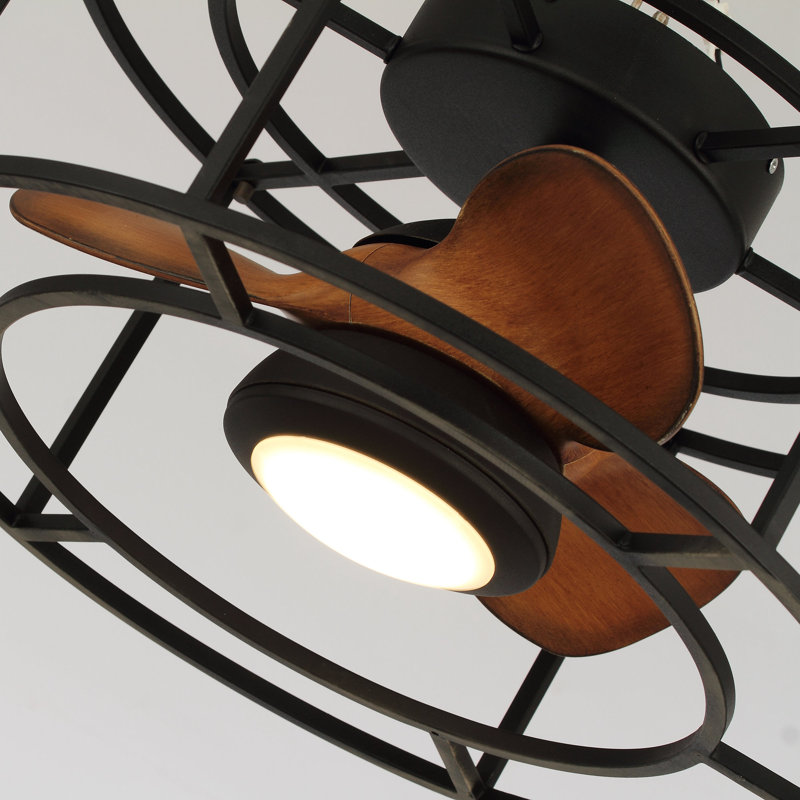 Aalaysha 20'' Ceiling Fan with LED Lights
