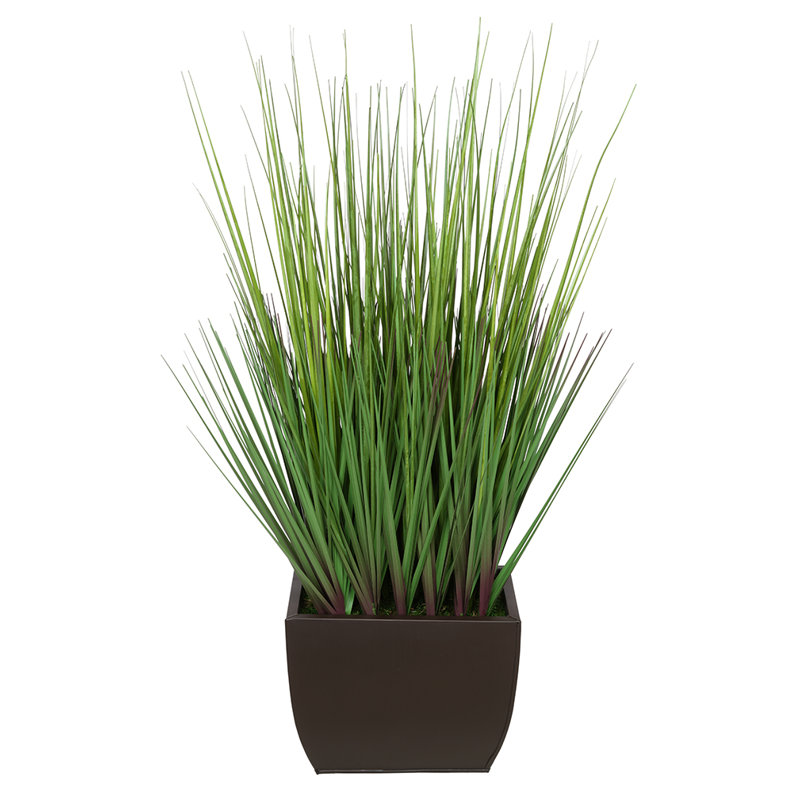 Herbe à feuillage 28 po en pot, Brun mat