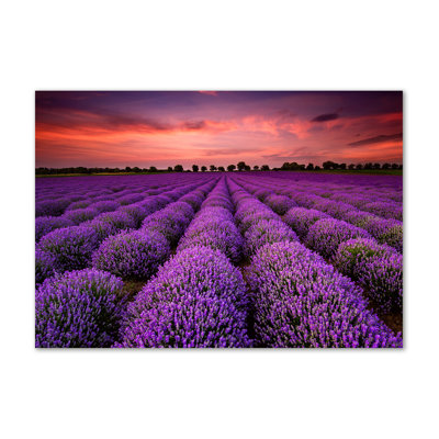 Lavender Fields Landscape - Wrapped Canvas Print