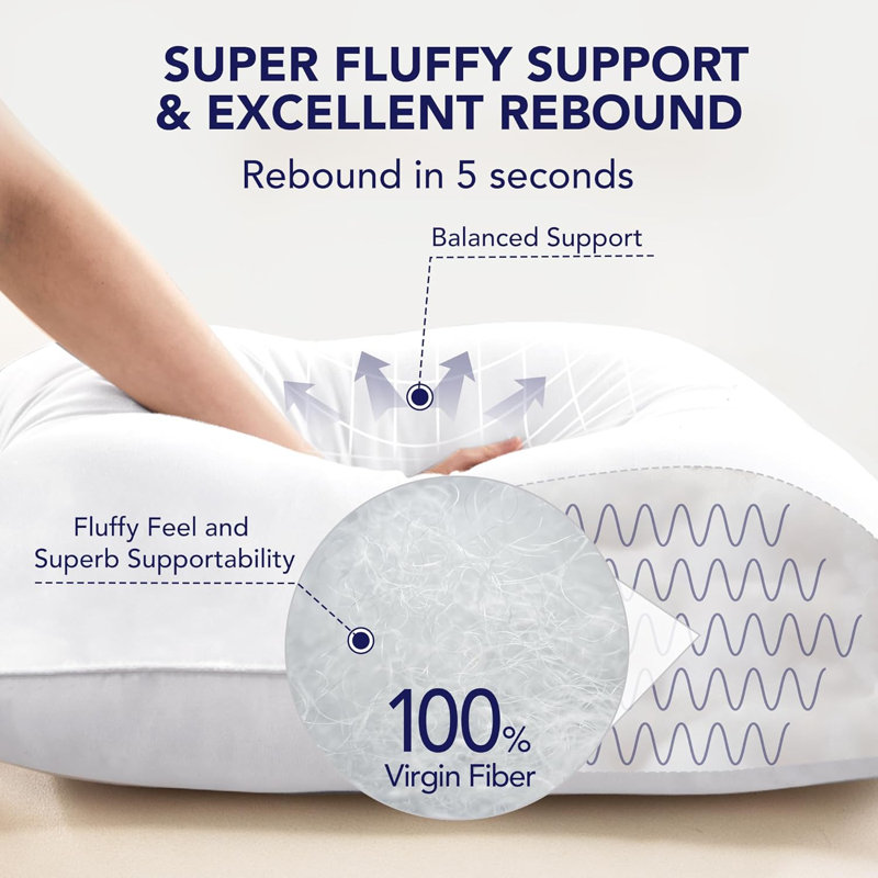 Euro 26x26 White Polyester Square Pillow Inserts, Set of 2