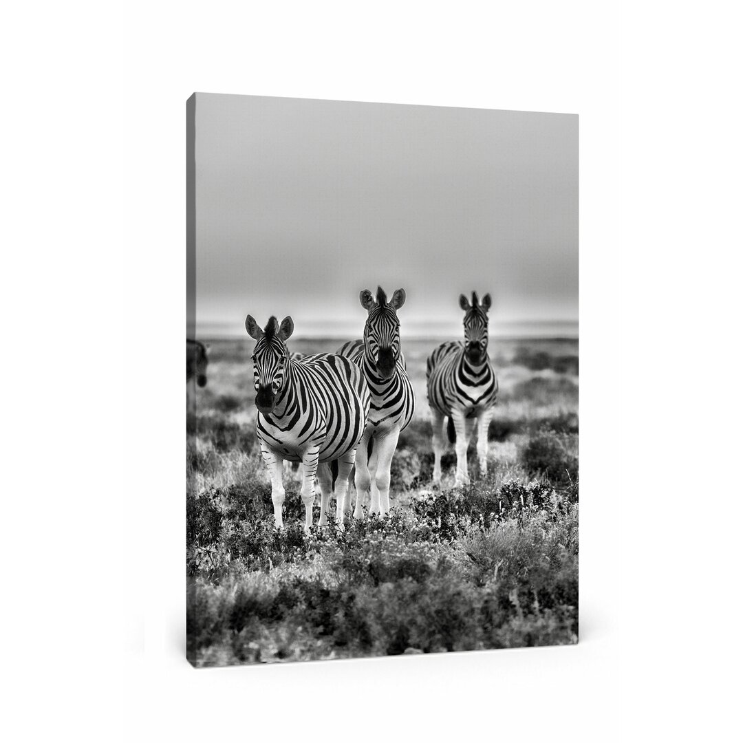 Leinwandbild Zebras in Savanne