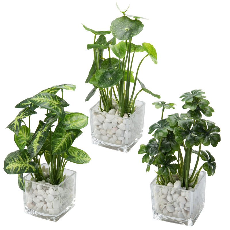 24cm Faux Foliage Plant in Glass Vase