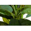 160cm Faux Banana Leaf Plant in Pot