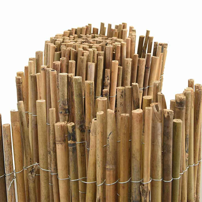 Bamboo Fence