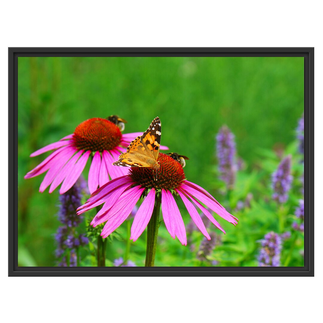 Gerahmtes Wandbild Schmetterling auf Blüte