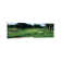 Trees In A Golf Course, Whirlpool Golf Course, Niagra Falls, Ontario, Canada by Panoramic Images - Wrapped Canvas Panoramic Gallery-Wrapped Canvas Giclée