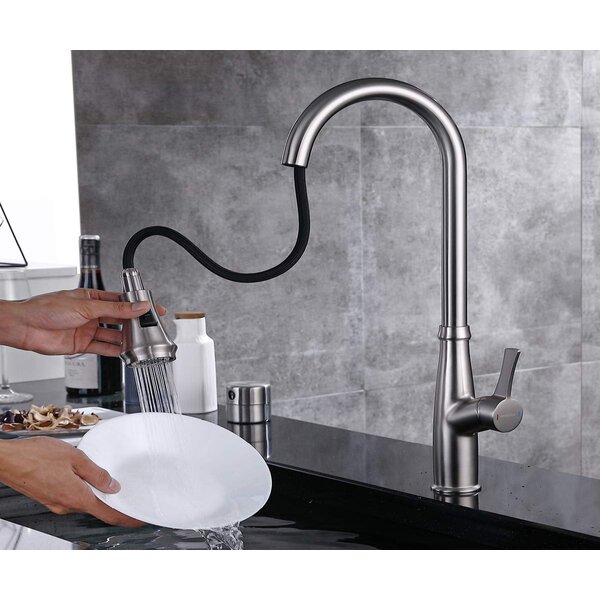 Topcraft Kitchen Faucet | Wayfair