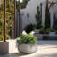 Pot à fleurs en béton Renfrew-1175341561-1175341564