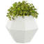  Planter Steel-1974654417-1974654421
