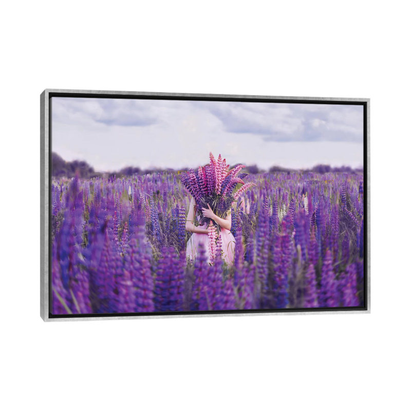"Lupin Field" par Hobopeeba-impression, H 18 po x l 26 po x P 1,5 po, Pas de tapis, Toile avec cadre argenté