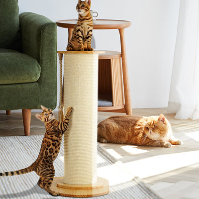 Maison pour chat Edmere