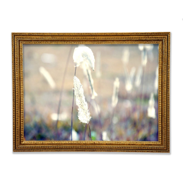 Ebern Designs Grass Fluff Summer - Single Picture Frame Print | Wayfair ...
