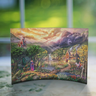Disney (The Evil Queen) Curved Acrylic Print