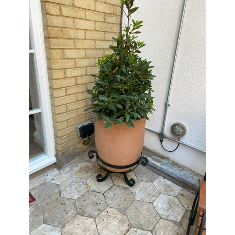 Mediterranean Fibreglass Planter, Delphi White