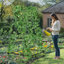 A-Frame Garden Trellis Iron Climbing Plants Green Bean Grow Support Support avec filet en nylon