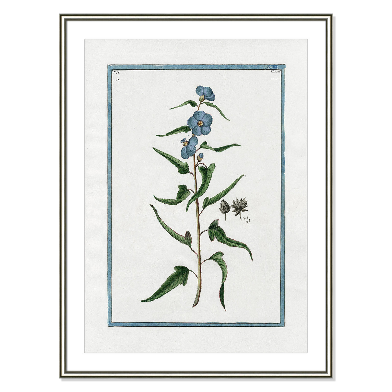 Shabby Elegance Botanical I - Framed Art Full Bleed, 26.75" W x 36.75" H, Silver Framed
