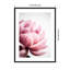 «Pink Peony No1» par Mareike Bohmer, impression murale encadrée