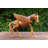 Jayanthi Animals Figurines & Sculptures