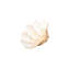 Unreal Cast Clam Shell Bowl-1348115431