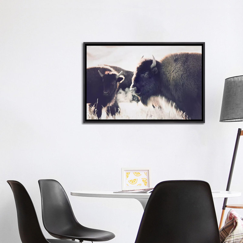 Photographie buffalo, H 26 po x l 40 po x P 1,5 po, Toile avec cadre noir patiné